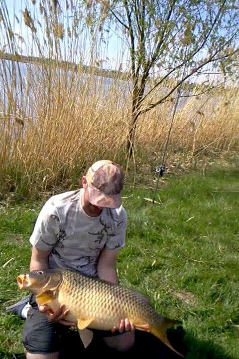 fsh - 5329824146608118964771193309938n.jpg